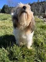 processed/10449291-7591-4a9e-ac3c-8384bf4bb2f2/listing/0aedc9a3-bb7e-45d1-9aa1-3228c6f21815/da3ad2c5-bc9c-4ed6-a462-f10b88dbb27e