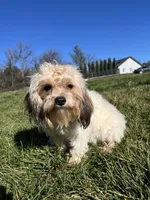 processed/10449291-7591-4a9e-ac3c-8384bf4bb2f2/listing/0aedc9a3-bb7e-45d1-9aa1-3228c6f21815/e88f6135-8c9b-4da8-bc06-625430c316c6