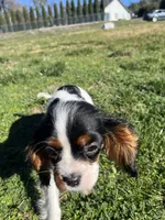 processed/10449291-7591-4a9e-ac3c-8384bf4bb2f2/listing/71795dbb-2ad2-4650-bdf6-6e83ed660e86/64aedab2-ce2e-4f6b-91bd-ce7a2c02f4ee