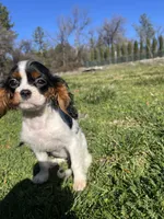 processed/10449291-7591-4a9e-ac3c-8384bf4bb2f2/listing/71795dbb-2ad2-4650-bdf6-6e83ed660e86/d00b362e-4a23-4c37-873d-48c56282fb51