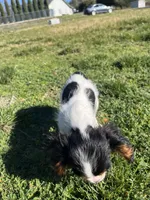 processed/10449291-7591-4a9e-ac3c-8384bf4bb2f2/listing/71795dbb-2ad2-4650-bdf6-6e83ed660e86/efd4b9f2-7a99-48ec-879a-a58a57228d75