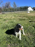 processed/10449291-7591-4a9e-ac3c-8384bf4bb2f2/listing/71795dbb-2ad2-4650-bdf6-6e83ed660e86/f0217041-3b06-41d9-9473-0a762e96c650