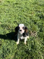 processed/10449291-7591-4a9e-ac3c-8384bf4bb2f2/listing/e6507128-fa15-4d38-a0ec-cf8ad8afd4b1/0714dfbc-79af-4877-b6e6-58123b49a3c7