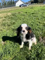 processed/10449291-7591-4a9e-ac3c-8384bf4bb2f2/listing/e6507128-fa15-4d38-a0ec-cf8ad8afd4b1/2f95b741-c1ff-4f79-97f9-6a8d32227b60