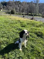 processed/10449291-7591-4a9e-ac3c-8384bf4bb2f2/listing/e6507128-fa15-4d38-a0ec-cf8ad8afd4b1/c36d9204-189f-437f-a4fc-2df92be3ec74