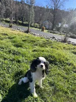 processed/10449291-7591-4a9e-ac3c-8384bf4bb2f2/listing/e6507128-fa15-4d38-a0ec-cf8ad8afd4b1/e0afb4db-3754-462b-879c-18f5e755460f