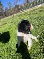 processed/10449291-7591-4a9e-ac3c-8384bf4bb2f2/listing/e908514c-4edd-42e1-9e87-5778865699b6/1f674ac7-9a26-4b87-987f-6df23f860fa8