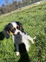 processed/10449291-7591-4a9e-ac3c-8384bf4bb2f2/listing/e908514c-4edd-42e1-9e87-5778865699b6/2c8d7ad7-aca4-4418-a19b-0c8740042a10