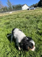 processed/10449291-7591-4a9e-ac3c-8384bf4bb2f2/listing/e908514c-4edd-42e1-9e87-5778865699b6/75a4da95-b26e-418b-b824-eae7b2babc19