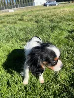 processed/10449291-7591-4a9e-ac3c-8384bf4bb2f2/listing/e908514c-4edd-42e1-9e87-5778865699b6/e87281a9-3c28-43db-bba8-b6e6e84672c8