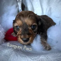 processed/104e71bd-8248-4d0b-930e-2de711be95f6/listing/484b76e3-c7a6-42f3-ad94-18596339597a/024c3c49-4ebf-4e27-9149-5593dac39bc4