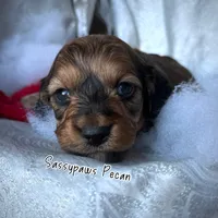 processed/104e71bd-8248-4d0b-930e-2de711be95f6/listing/484b76e3-c7a6-42f3-ad94-18596339597a/14b80c8b-7f8b-40ef-82a3-071f9a7a5fd0