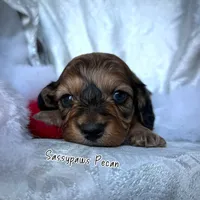 processed/104e71bd-8248-4d0b-930e-2de711be95f6/listing/484b76e3-c7a6-42f3-ad94-18596339597a/5fff1fee-d29f-4c48-8477-aa18e05ded21