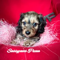 processed/104e71bd-8248-4d0b-930e-2de711be95f6/listing/484b76e3-c7a6-42f3-ad94-18596339597a/72ddbd7d-bc89-4142-8266-6137006d2357