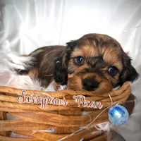 processed/104e71bd-8248-4d0b-930e-2de711be95f6/listing/484b76e3-c7a6-42f3-ad94-18596339597a/9179986e-c265-4e03-a095-091a8aaf57f2