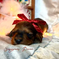 processed/104e71bd-8248-4d0b-930e-2de711be95f6/listing/484b76e3-c7a6-42f3-ad94-18596339597a/9b8e5bac-55cb-4119-a2d5-6fd6d05e8c01