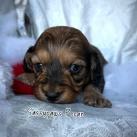 processed/104e71bd-8248-4d0b-930e-2de711be95f6/listing/484b76e3-c7a6-42f3-ad94-18596339597a/a1976a59-6fb4-4b91-8b8c-5dd39828f8fd