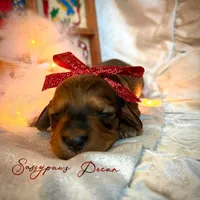 processed/104e71bd-8248-4d0b-930e-2de711be95f6/listing/484b76e3-c7a6-42f3-ad94-18596339597a/e0c04657-a216-443d-b508-1cdf167ab277