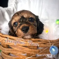 processed/104e71bd-8248-4d0b-930e-2de711be95f6/listing/484b76e3-c7a6-42f3-ad94-18596339597a/e6db7b88-04f4-41cb-bf83-5813048ae2fe