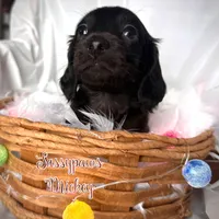 processed/104e71bd-8248-4d0b-930e-2de711be95f6/listing/839170c7-83c1-4381-a5e2-6544e3a5b3c0/0612d12a-b7a0-4a90-bba1-5151941f10c2