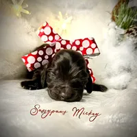 processed/104e71bd-8248-4d0b-930e-2de711be95f6/listing/839170c7-83c1-4381-a5e2-6544e3a5b3c0/2ea47394-8ac1-469d-876d-e00fbb24d48c