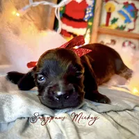 processed/104e71bd-8248-4d0b-930e-2de711be95f6/listing/839170c7-83c1-4381-a5e2-6544e3a5b3c0/5113094b-ec5c-48ff-a532-c66234408005