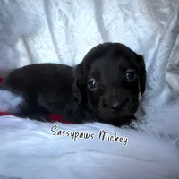 processed/104e71bd-8248-4d0b-930e-2de711be95f6/listing/839170c7-83c1-4381-a5e2-6544e3a5b3c0/b116bcbc-6833-48f9-bb11-2195cfbe114b