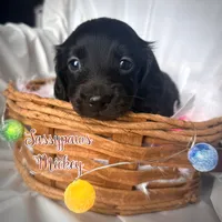 processed/104e71bd-8248-4d0b-930e-2de711be95f6/listing/839170c7-83c1-4381-a5e2-6544e3a5b3c0/b19dd7a2-f83f-412d-818d-e2d6c04984a9