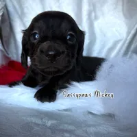 processed/104e71bd-8248-4d0b-930e-2de711be95f6/listing/839170c7-83c1-4381-a5e2-6544e3a5b3c0/cb851077-572f-4135-82cc-3fc66c9da7f4