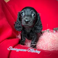 processed/104e71bd-8248-4d0b-930e-2de711be95f6/listing/839170c7-83c1-4381-a5e2-6544e3a5b3c0/e365ec3d-ab04-4380-a7bb-0399ce27c9ec