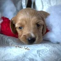 processed/104e71bd-8248-4d0b-930e-2de711be95f6/listing/bafc77d2-f44e-41c3-a7f6-598a7c151ac6/554013f4-4c77-4460-a245-31fbf7226cb7