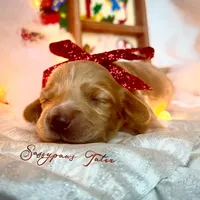 processed/104e71bd-8248-4d0b-930e-2de711be95f6/listing/bafc77d2-f44e-41c3-a7f6-598a7c151ac6/8023f662-9a33-49e3-afb3-39c0deb320a7