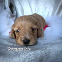 processed/104e71bd-8248-4d0b-930e-2de711be95f6/listing/bafc77d2-f44e-41c3-a7f6-598a7c151ac6/8a7de33b-d2ab-44db-84b7-0a9886cb2c79