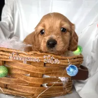 processed/104e71bd-8248-4d0b-930e-2de711be95f6/listing/bafc77d2-f44e-41c3-a7f6-598a7c151ac6/8c6a6fd9-3801-4961-99ef-e560b5e55005