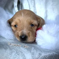 processed/104e71bd-8248-4d0b-930e-2de711be95f6/listing/bafc77d2-f44e-41c3-a7f6-598a7c151ac6/94f0aa3d-c45e-467e-a31b-16a94b65aff1