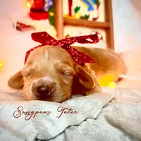 processed/104e71bd-8248-4d0b-930e-2de711be95f6/listing/bafc77d2-f44e-41c3-a7f6-598a7c151ac6/c2cd76ec-f86a-4e4d-bddf-7a398222b590