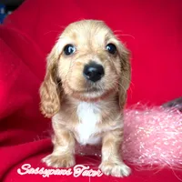 processed/104e71bd-8248-4d0b-930e-2de711be95f6/listing/bafc77d2-f44e-41c3-a7f6-598a7c151ac6/f3131dc4-defe-476c-a78c-7bdbe742db9b