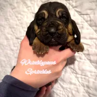 processed/104e71bd-8248-4d0b-930e-2de711be95f6/listing/bf687c4d-f007-4477-b5bb-2c2618c78e2c/506809e2-a8f2-42ae-91ea-e1e85486bf05