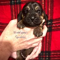 processed/104e71bd-8248-4d0b-930e-2de711be95f6/listing/bf687c4d-f007-4477-b5bb-2c2618c78e2c/66914633-cc9a-4aa6-aabd-323e0d5befe9