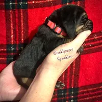 processed/104e71bd-8248-4d0b-930e-2de711be95f6/listing/bf687c4d-f007-4477-b5bb-2c2618c78e2c/71a093e5-3519-4ba6-ba13-7e8bf8f75a94