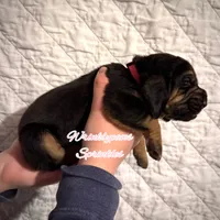 processed/104e71bd-8248-4d0b-930e-2de711be95f6/listing/bf687c4d-f007-4477-b5bb-2c2618c78e2c/aab67964-1324-4cc2-8515-62bf155ff819