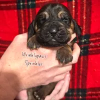 processed/104e71bd-8248-4d0b-930e-2de711be95f6/listing/bf687c4d-f007-4477-b5bb-2c2618c78e2c/c958a674-f58b-4718-9eea-65b6e3f7072d