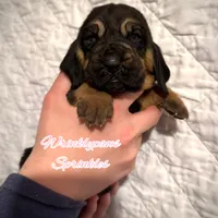 processed/104e71bd-8248-4d0b-930e-2de711be95f6/listing/bf687c4d-f007-4477-b5bb-2c2618c78e2c/cff05ea3-3af8-421e-b11b-458a8962b1a2