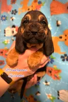 processed/104e71bd-8248-4d0b-930e-2de711be95f6/listing/bf687c4d-f007-4477-b5bb-2c2618c78e2c/f5b7b822-9d40-42da-b05a-d67307824ef6