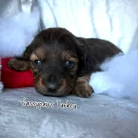 processed/104e71bd-8248-4d0b-930e-2de711be95f6/listing/cdf914e9-54fc-418b-9c3f-95c2a12dfa8c/0113d6c1-b6ac-49a3-9df1-efcb0d0e03d6