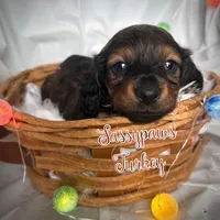 processed/104e71bd-8248-4d0b-930e-2de711be95f6/listing/cdf914e9-54fc-418b-9c3f-95c2a12dfa8c/0f82dc1c-c5fd-4de8-bb21-e611e859b637