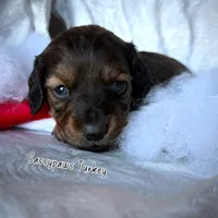 processed/104e71bd-8248-4d0b-930e-2de711be95f6/listing/cdf914e9-54fc-418b-9c3f-95c2a12dfa8c/16ec166c-439f-4b0e-8fd7-5feeb7d8476f