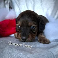 processed/104e71bd-8248-4d0b-930e-2de711be95f6/listing/cdf914e9-54fc-418b-9c3f-95c2a12dfa8c/61e4eab2-3edc-4962-97eb-1a0920959759