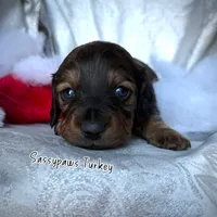 processed/104e71bd-8248-4d0b-930e-2de711be95f6/listing/cdf914e9-54fc-418b-9c3f-95c2a12dfa8c/7b6bbfad-5a9e-4205-b227-5cf0d06b03da