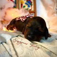 processed/104e71bd-8248-4d0b-930e-2de711be95f6/listing/cdf914e9-54fc-418b-9c3f-95c2a12dfa8c/a47f1f7d-cb77-4b41-a714-7e8f6cf50747